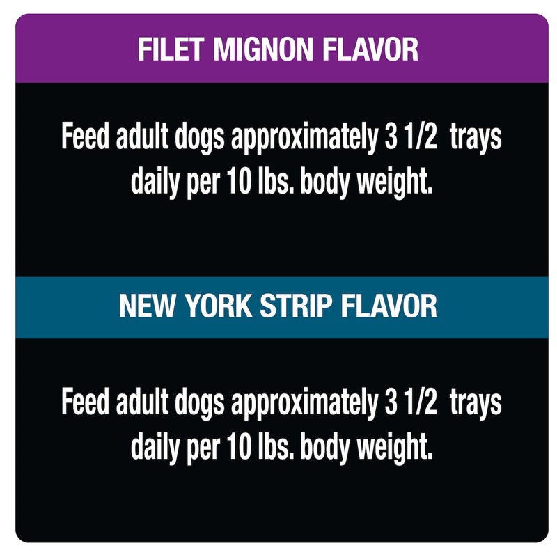 (12 Pack) CESAR Wet Dog Food Filets in Gravy Filet Mignon & New York Strip Flavors Variety Pack, 3.5 oz. Easy Peel Trays - Sherry Wholesale - Distributors and wholesale in United States