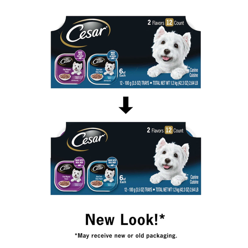 (12 Pack) CESAR Wet Dog Food Filets in Gravy Filet Mignon & New York Strip Flavors Variety Pack, 3.5 oz. Easy Peel Trays - Sherry Wholesale - Distributors and wholesale in United States