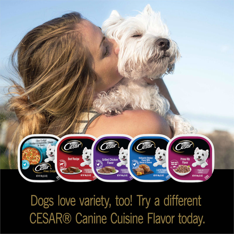 (12 Pack) CESAR Wet Dog Food Filets in Gravy Filet Mignon & New York Strip Flavors Variety Pack, 3.5 oz. Easy Peel Trays - Sherry Wholesale - Distributors and wholesale in United States