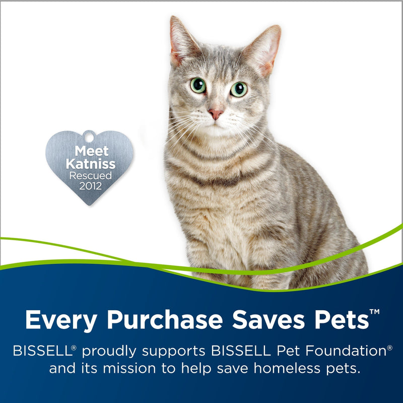 BISSELL Pet Carpet Stain Remover, 60 Fluid Ounce 5959W - Sherry Wholesale - Distributors and wholesale in United States