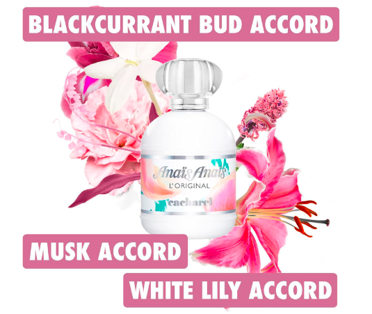 Cacharel - Anais Anais - Eau de Toilette Women's Perfume - Feminine and Tender, Attractive, Day and Night Fragrance - Sherry Wholesale - Distributors and wholesale in United States