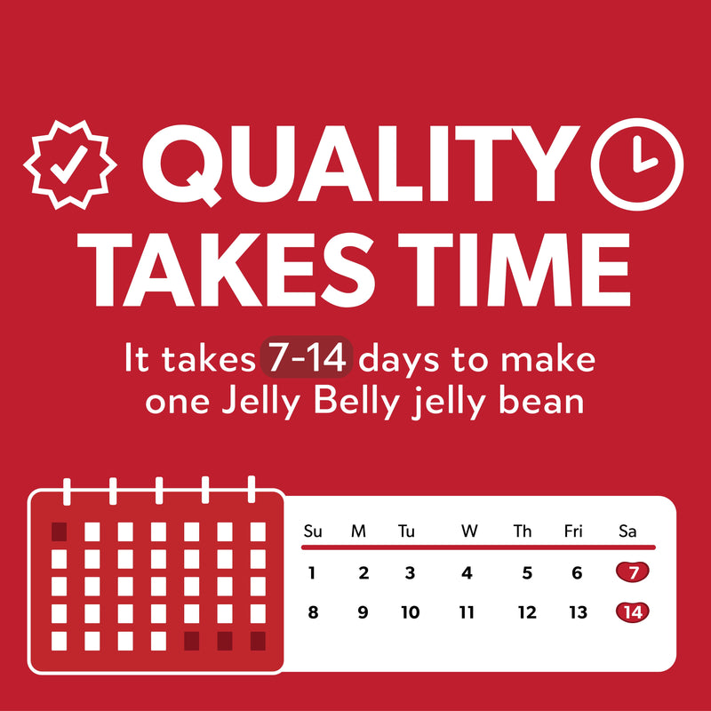 Jelly Belly Jelly Bean Multiple Flavors Bean Bag 32 oz - Sherry Wholesale - Distributors and wholesale in United States