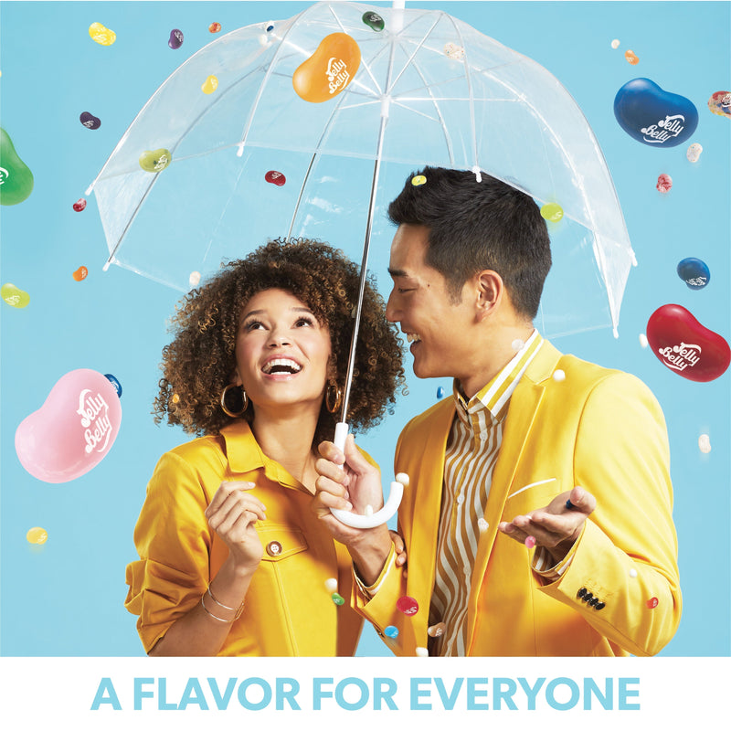 Jelly Belly Jelly Bean Multiple Flavors Bean Bag 32 oz - Sherry Wholesale - Distributors and wholesale in United States