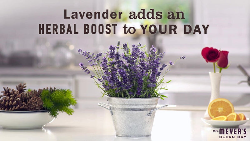 Mrs. Meyers Clean Day Laundry Detergent, Lavender, 64 fl oz - Sherry Wholesale - Distributors and wholesale in United States