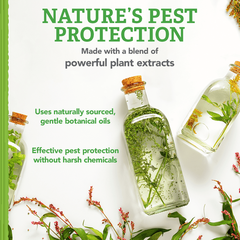 Natural Care Flea and Tick Dog Shampoo with Certified Natural Oils, 12 oz. - Sherry Wholesale - Distributors and wholesale in United States