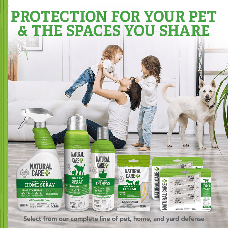 Natural Care Flea and Tick Dog Shampoo with Certified Natural Oils, 12 oz. - Sherry Wholesale - Distributors and wholesale in United States
