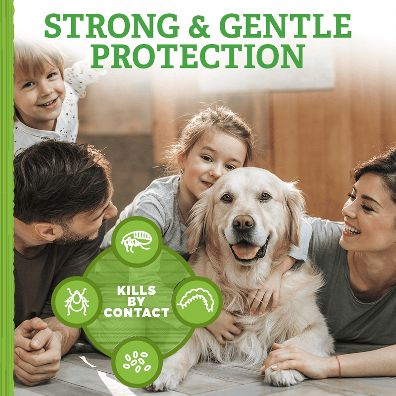 Natural Care Flea and Tick Dog Shampoo with Certified Natural Oils, 12 oz. - Sherry Wholesale - Distributors and wholesale in United States