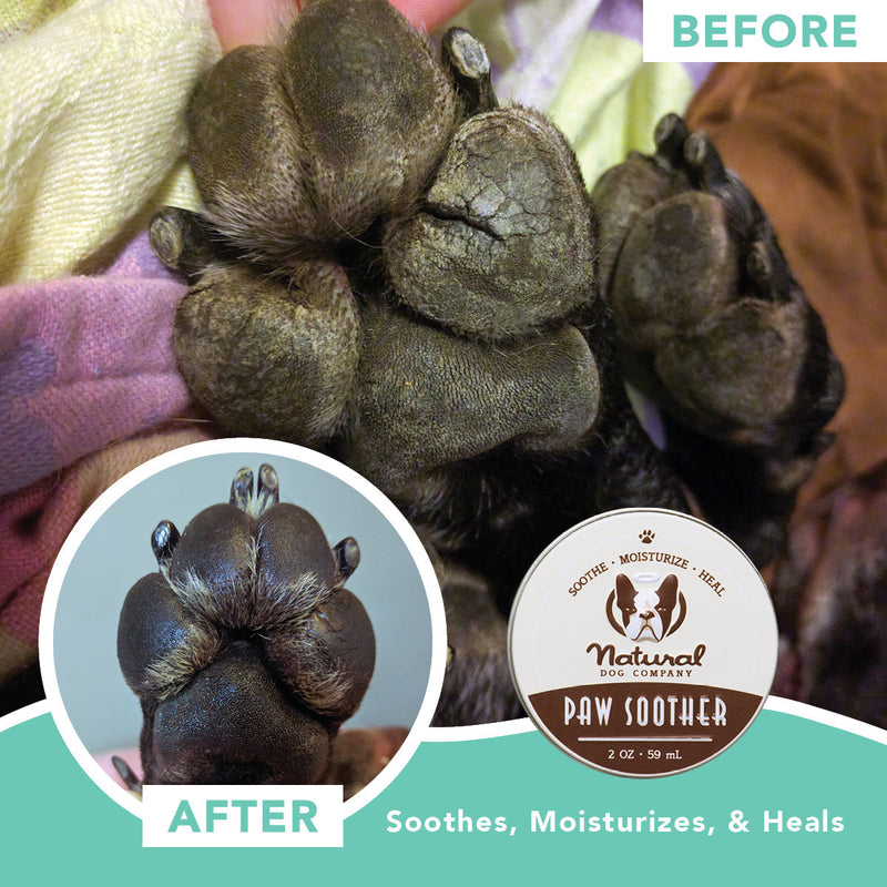 Natural Dog Company Paw Soother, Organic and Natural Paw Pad Balm, 2 oz. Tin - Sherry Wholesale - Distributors and wholesale in United States