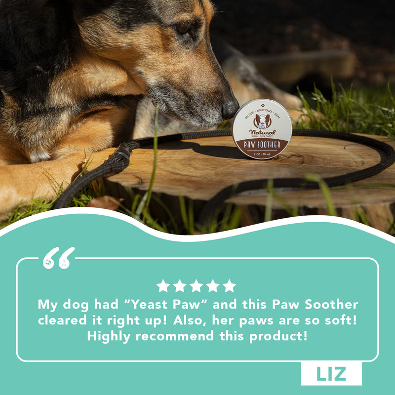 Natural Dog Company Paw Soother, Organic and Natural Paw Pad Balm, 2 oz. Tin - Sherry Wholesale - Distributors and wholesale in United States