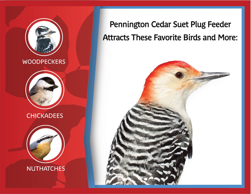Pennington Red Cedar Wild Bird Suet Feeder, 4 Plug Capacity - Sherry Wholesale - Distributors and wholesale in United States