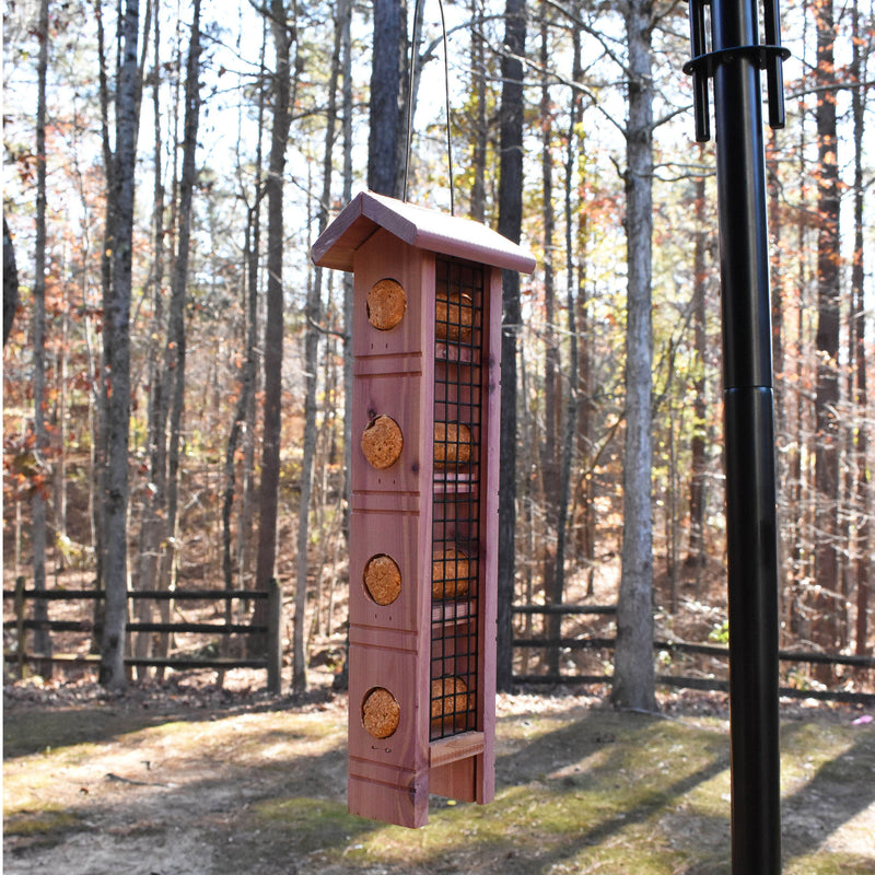 Pennington Red Cedar Wild Bird Suet Feeder, 4 Plug Capacity - Sherry Wholesale - Distributors and wholesale in United States