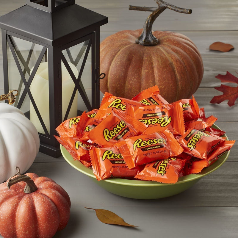 REESE'S, Milk Chocolate Peanut Butter Cups Snack Size Candy, Halloween, 10.5 oz, Bag (Pack of 2) - Sherry Wholesale - Distributors and wholesale in United States