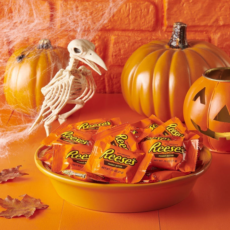 REESE'S, Milk Chocolate Peanut Butter Cups Snack Size Candy, Halloween, 10.5 oz, Bag (Pack of 2) - Sherry Wholesale - Distributors and wholesale in United States