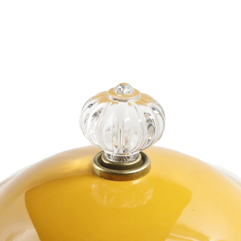 The Pioneer Woman Blossom Jubilee Canister with Acrylic Knob, 8.75" SN Distributors The Pioneer Woman 